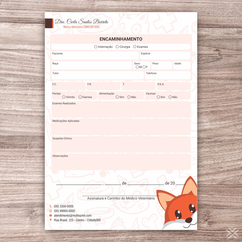 Encaminhamento Veterinário 3083 - Imagem 2