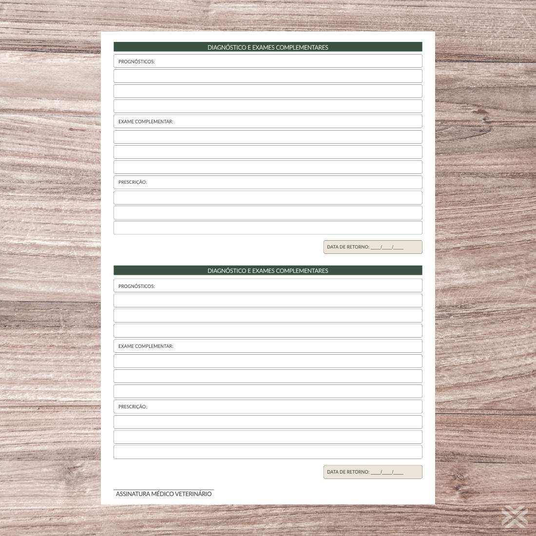 Ficha de Atendimento Veterinário 30129 - Imagem 3