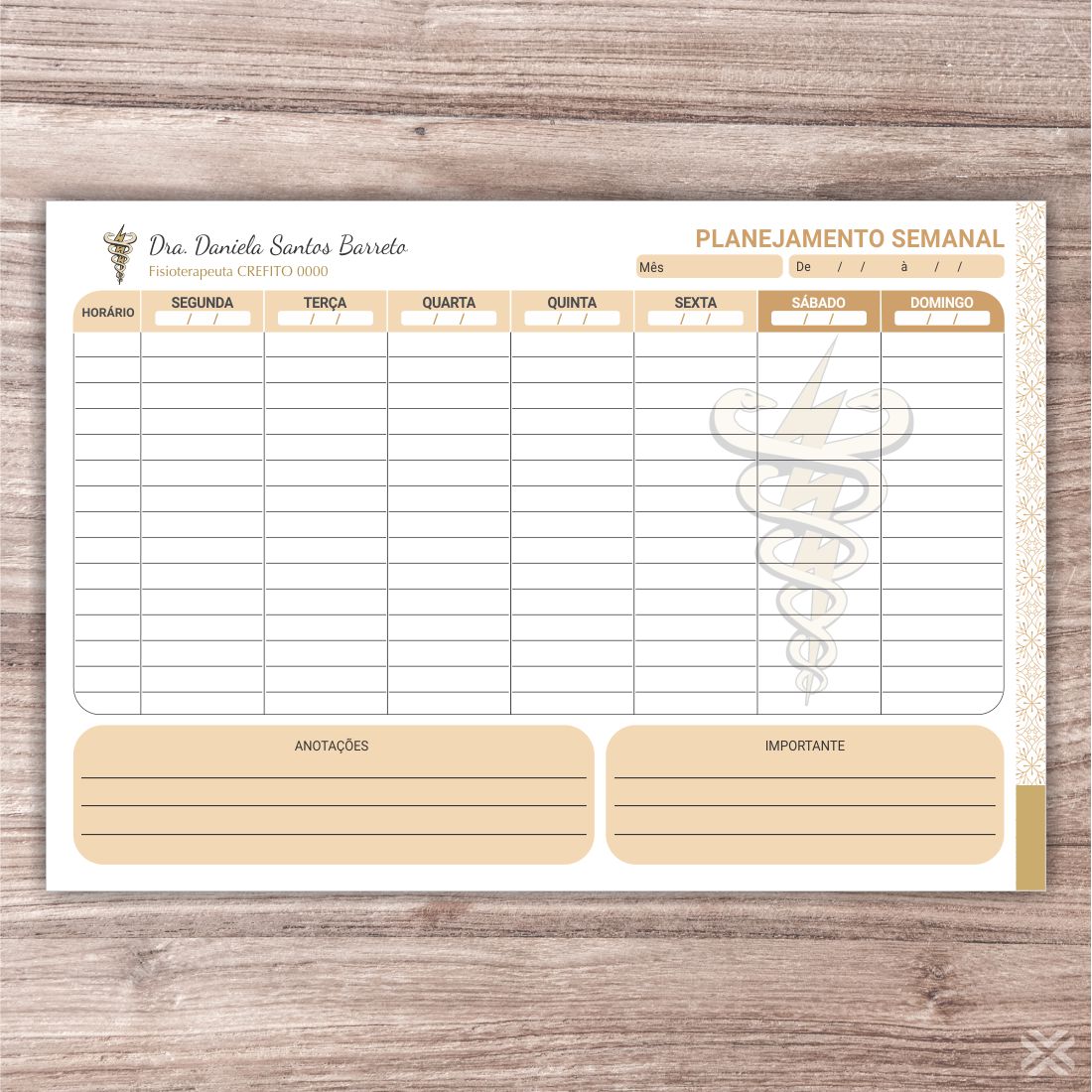 Planner Fisioterapeuta 0914