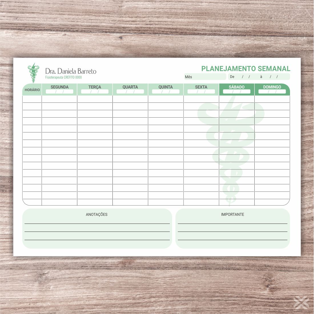 Planner Fisioterapeuta 0934