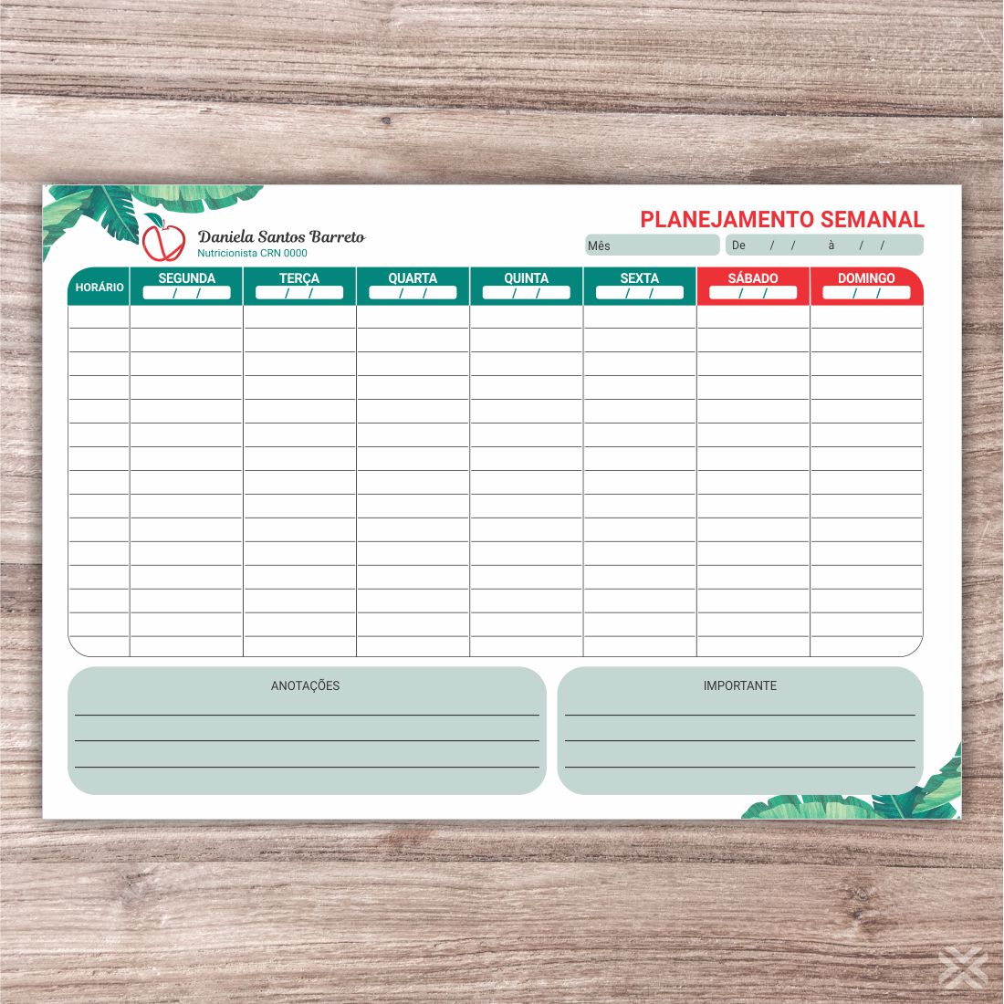 Planner Nutricionista 2406