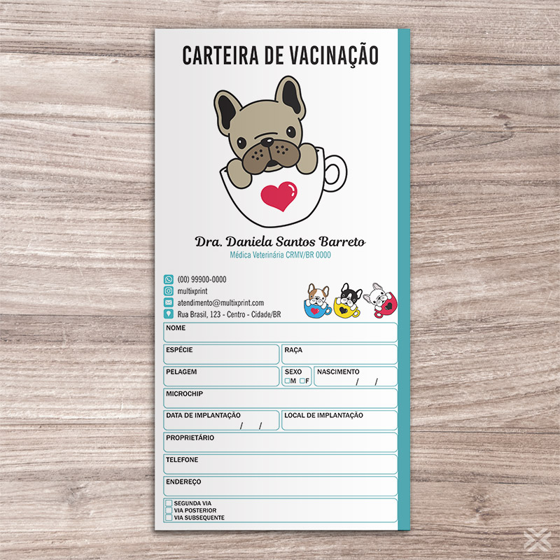 Carteira Vacinação 30x20cm 6 Páginas 30125 - Imagem 2