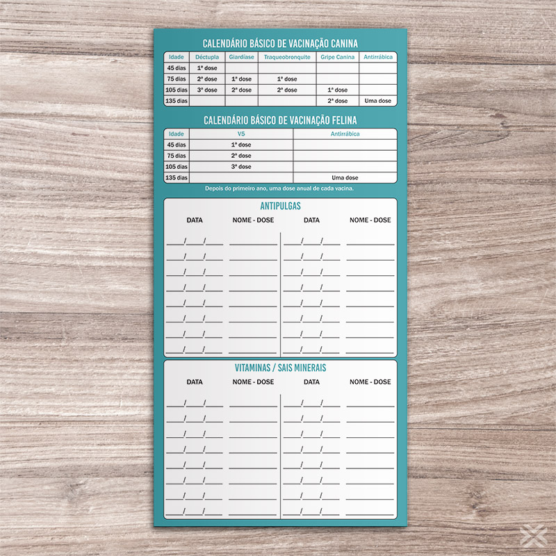 Carteira Vacinação 30x20cm 6 Páginas 30125 - Imagem 5