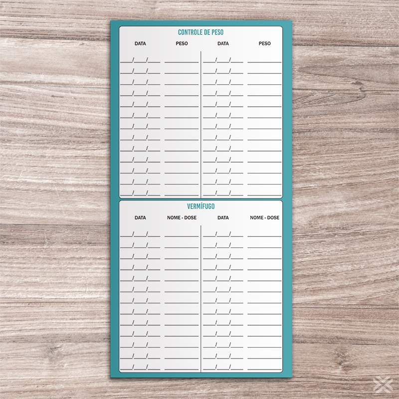 Carteira Vacinação 30x20cm 6 Páginas 30125 - Imagem 4