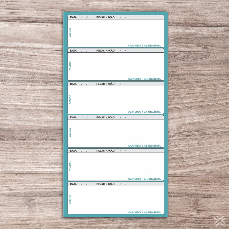 Carteira Vacinação 30x20cm 6 Páginas 30125 - Imagem 3
