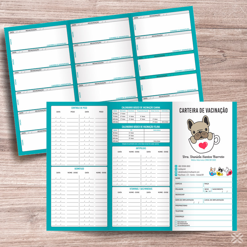 Carteira Vacinação 30x20cm 6 Páginas 30125
