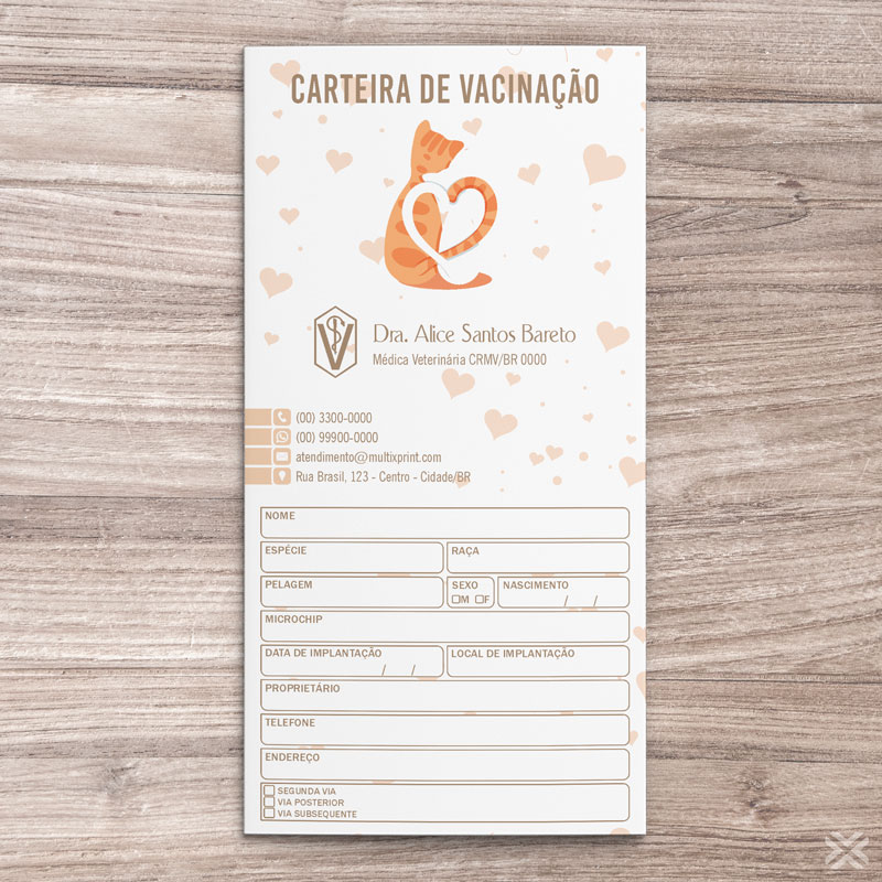 Carteira Vacinação 30x20cm 6 Páginas 3042 - Imagem 2