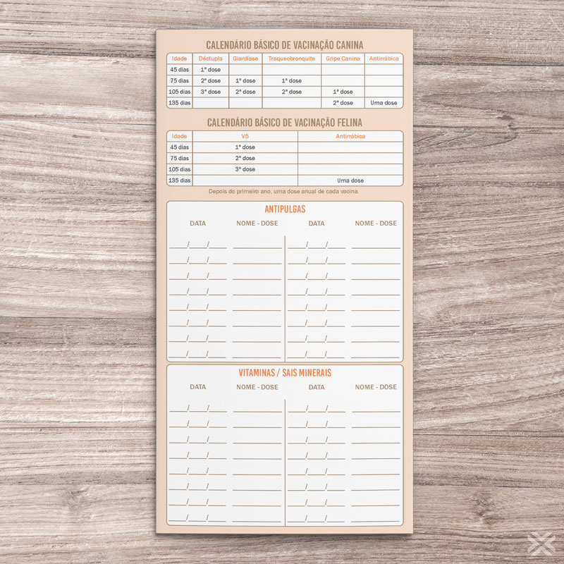 Carteira Vacinação 30x20cm 6 Páginas 3042 - Imagem 5