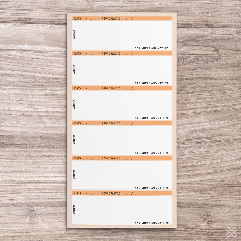 Carteira Vacinação 30x20cm 6 Páginas 3042 - Imagem 3
