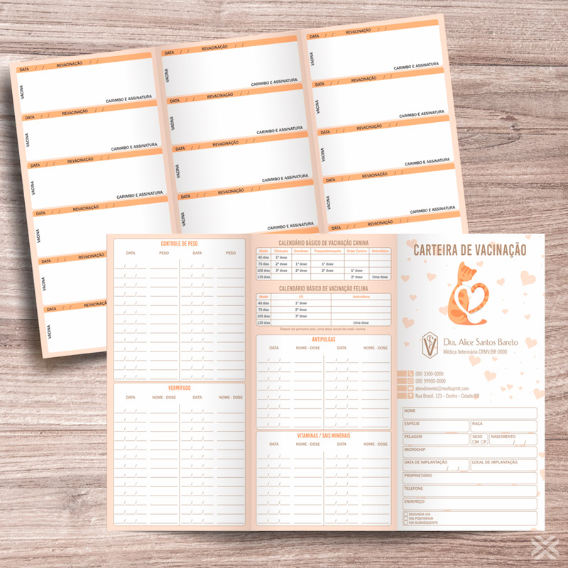 Carteira Vacinação 30x20cm 6 Páginas 3042