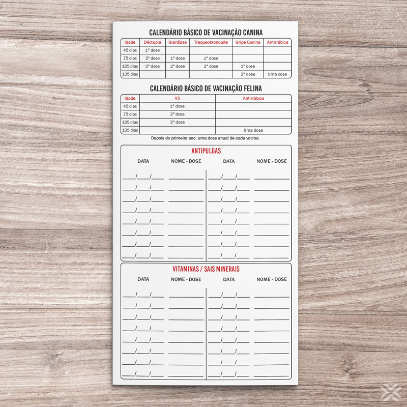 Carteira Vacinação 30x20cm 6 Páginas 3053 - Imagem 5