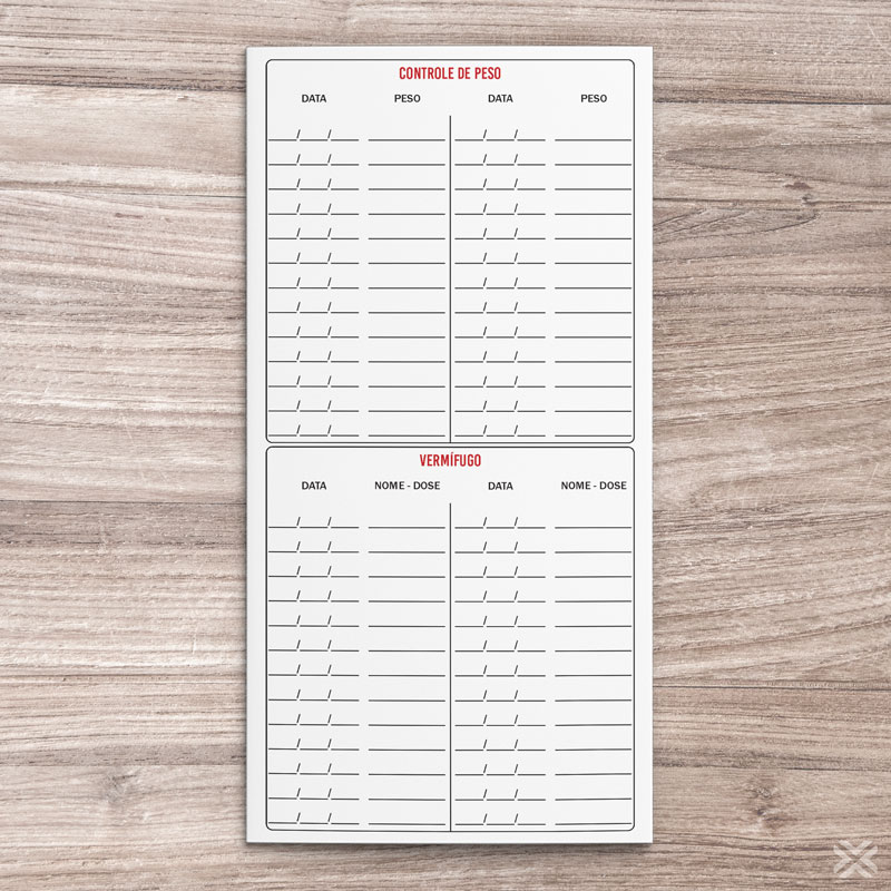 Carteira Vacinação 30x20cm 6 Páginas 3053 - Imagem 4
