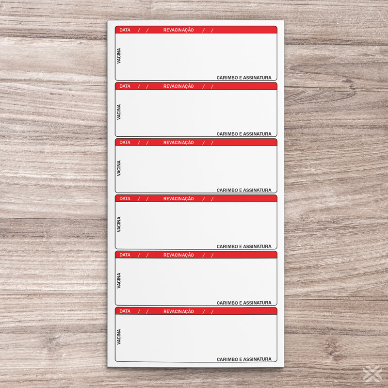 Carteira Vacinação 30x20cm 6 Páginas 3053 - Imagem 3