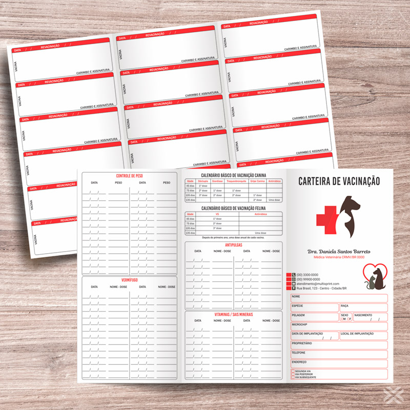 Carteira Vacinação 30x20cm 6 Páginas 3053