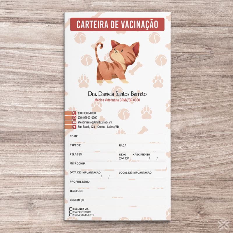 Carteira Vacinação 30x20cm 6 Páginas 3072 - Imagem 2