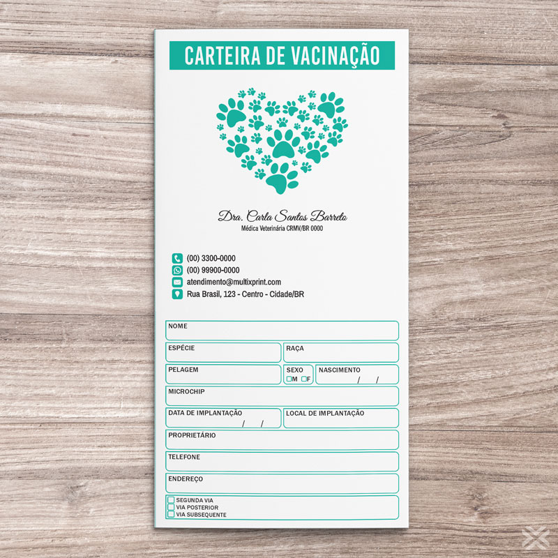 Carteira Vacinação 30x20cm 6 Páginas 3080 - Imagem 2