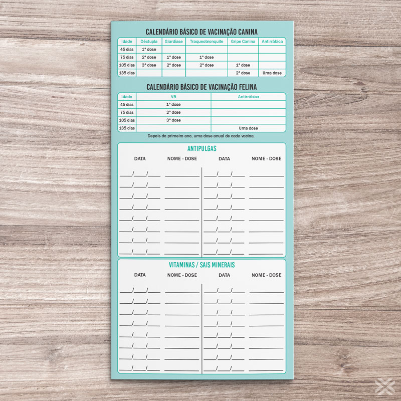 Carteira Vacinação 30x20cm 6 Páginas 3080 - Imagem 5