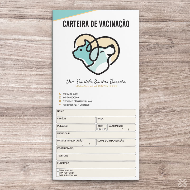 Carteira Vacinação 30x20cm 6 Páginas 3089 - Imagem 2