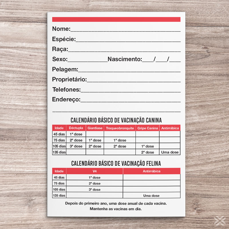 Carteira Vacinação 30x15cm 6 Páginas 3092 - Imagem 3