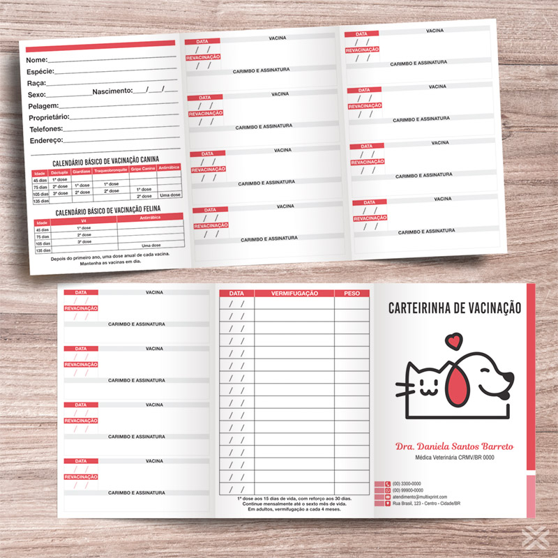 Carteira Vacinação 30x15cm 6 Páginas 3092
