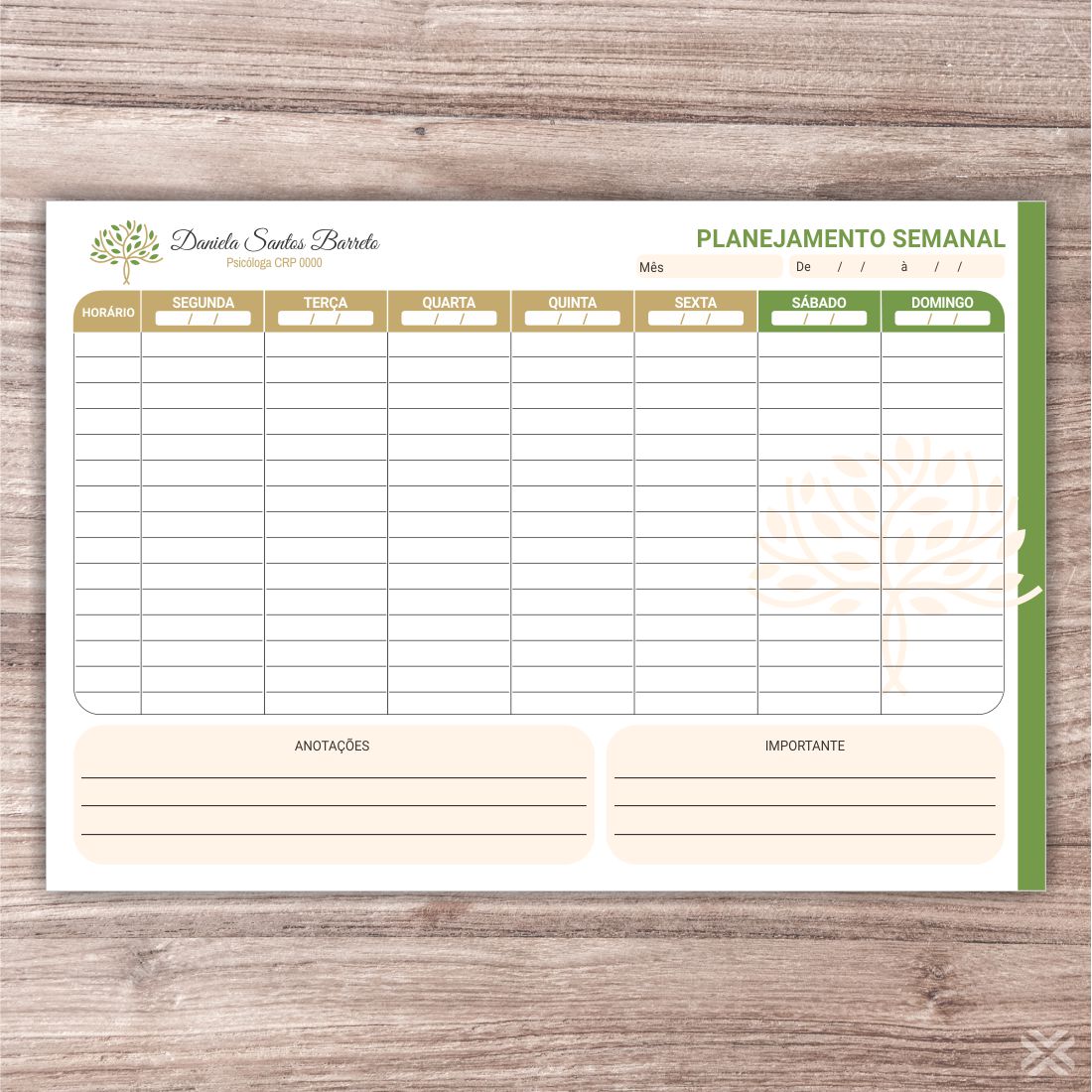 Planner Psicólogo 2785