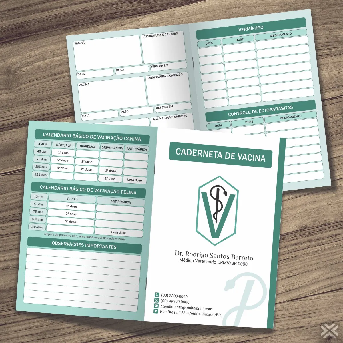 Carteira Vacinação Passaporte 10x15cm 8 Páginas 3012