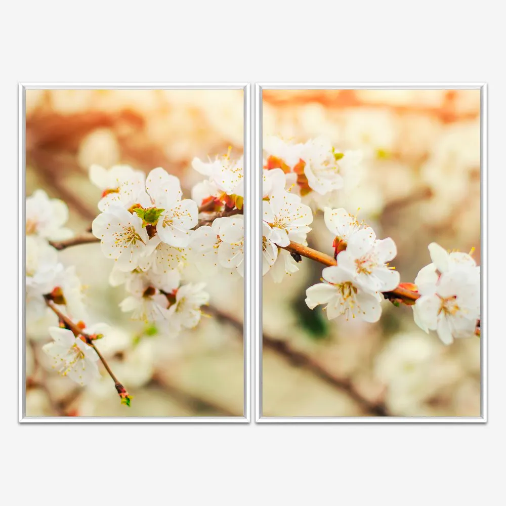 Quadro Flor de Cerejeira Branca kit duas telas - Imagem 4