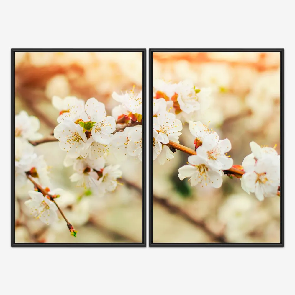 Quadro Flor de Cerejeira Branca kit duas telas - Imagem 3