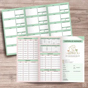 Carteira Vacinação 30x20cm 6 Páginas 30146