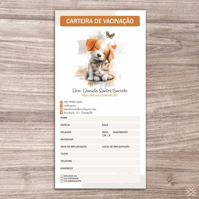 Carteira Vacinação 30x20cm 6 Páginas 30147 - Imagem 2