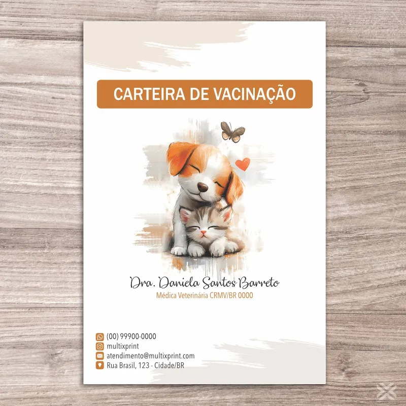 Carteira Vacinação 30x15cm 6 Páginas 30147 - Imagem 2
