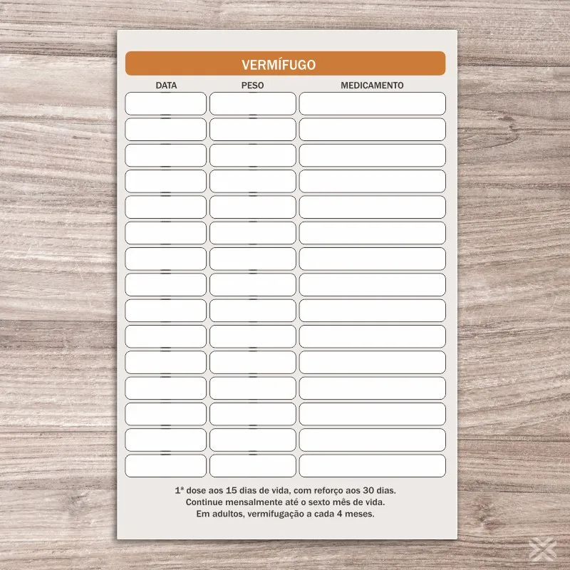 Carteira Vacinação 30x15cm 6 Páginas 30147 - Imagem 3