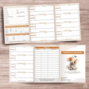 Carteira Vacinação 30x15cm 6 Páginas 30147
