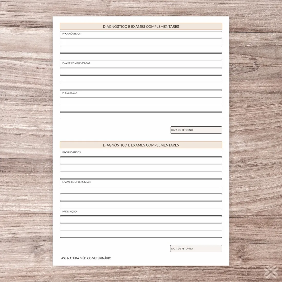 Ficha de Atendimento Veterinário 30147 - Imagem 3
