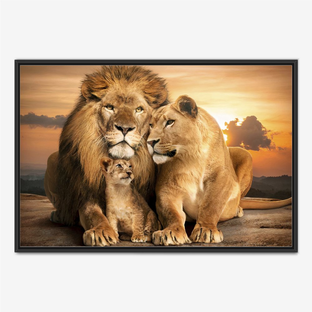 Quadro Família de Leões um Filho Pôr do Sol - Imagem 3