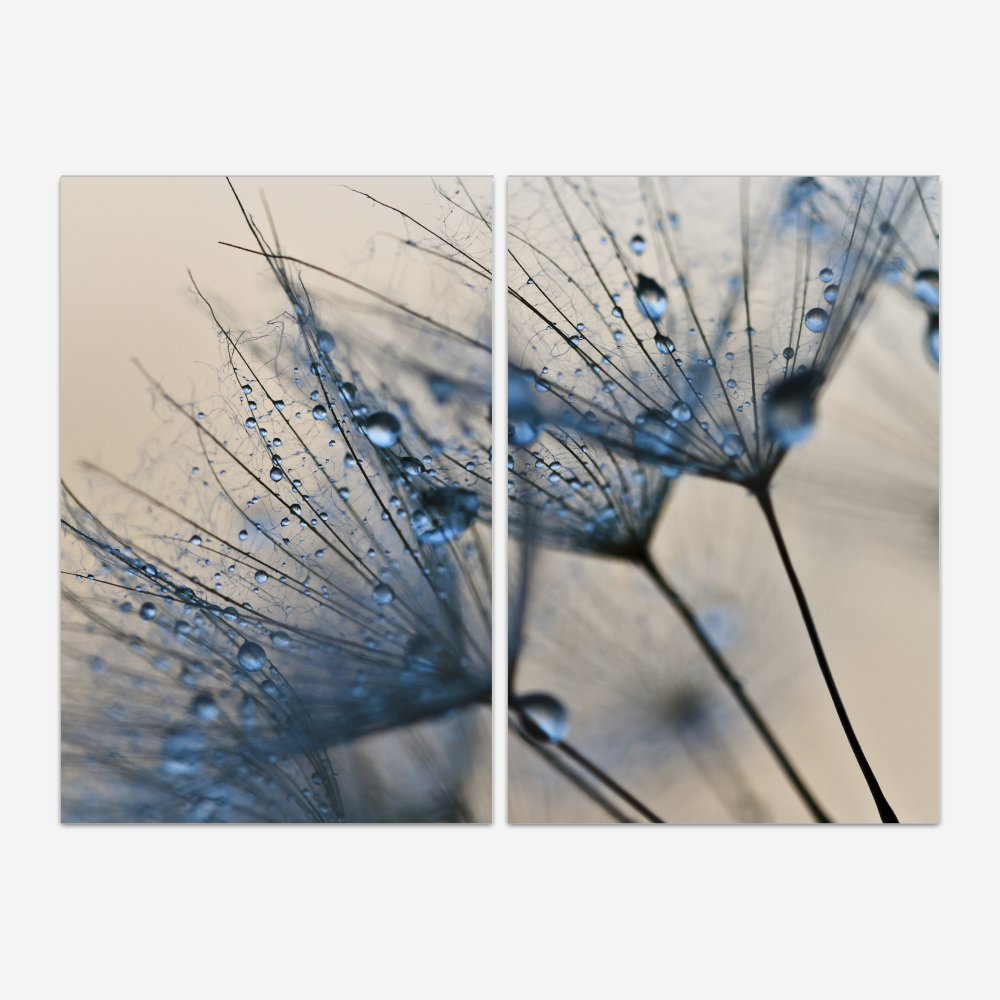 Quadro Dente-de-leão Blue kit duas telas - Imagem 3