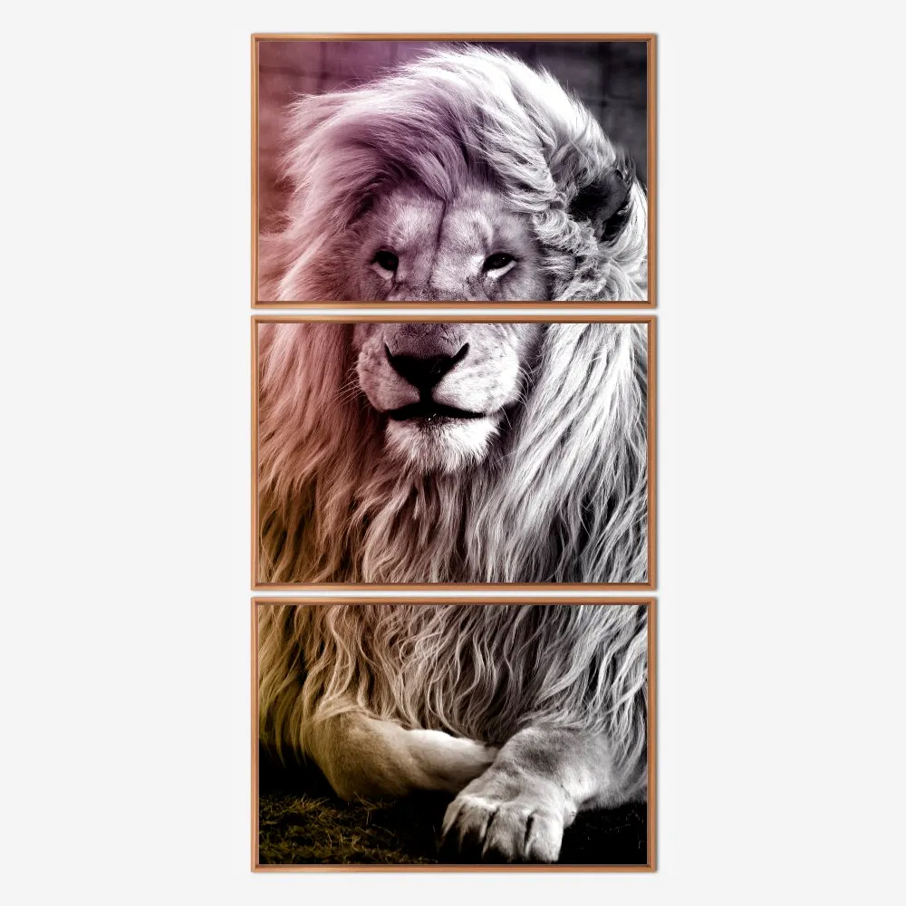 Quadro Leão Cor kit três telas - Imagem 6