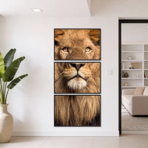 Quadro Leão Imponente kit três telas