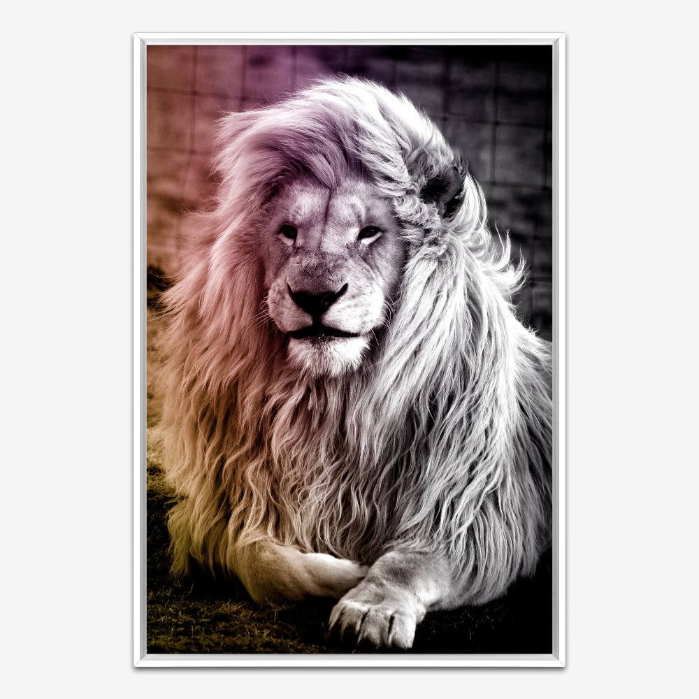 Quadro Leão Cor - Imagem 4