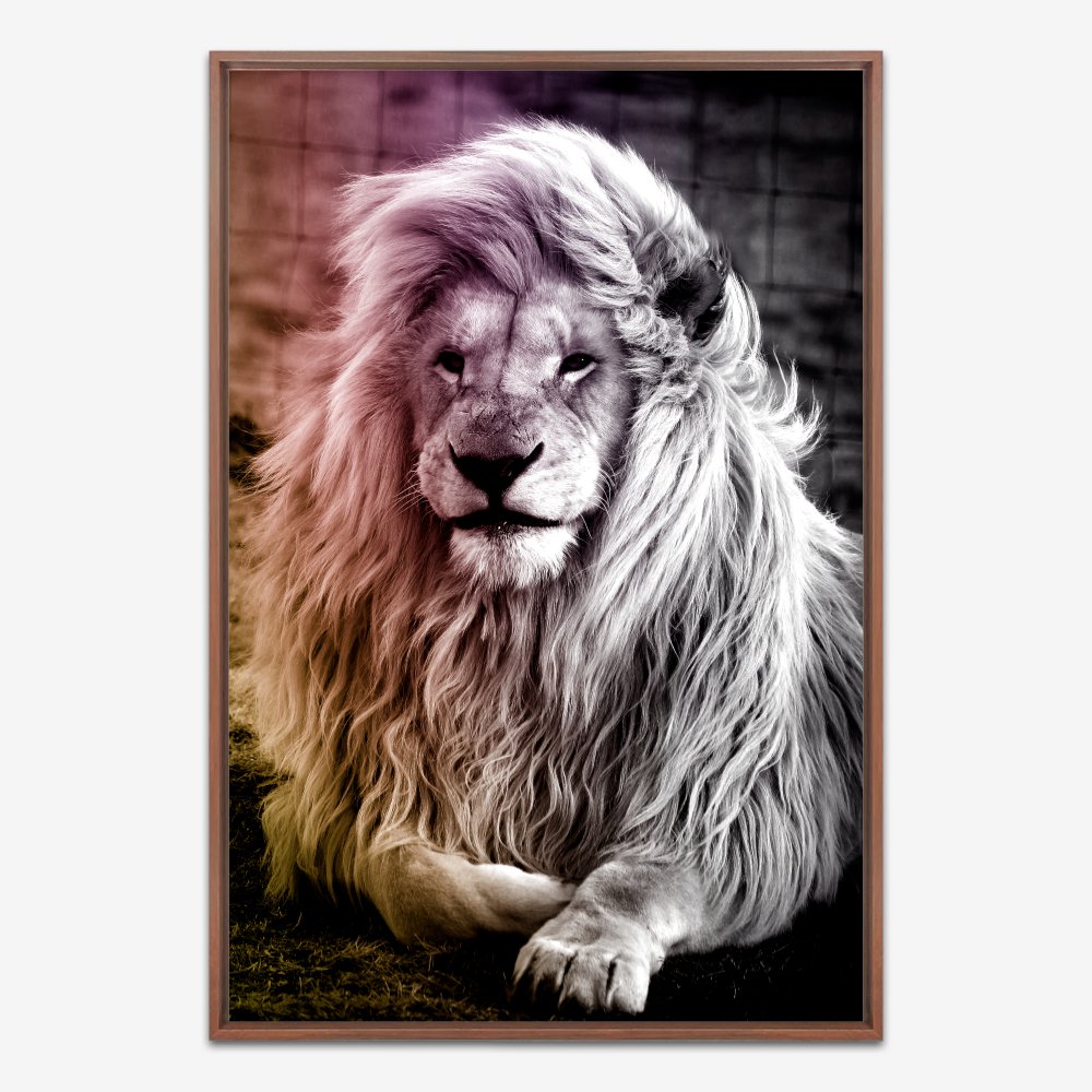 Quadro Leão Cor - Imagem 5