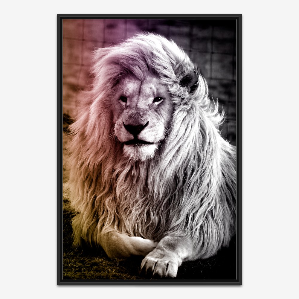 Quadro Leão Cor - Imagem 3